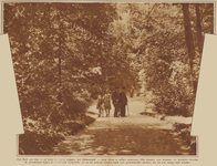 873109 Gezicht op een boomrijke laan met wandelaars in het Julianapark aan de Amsterdamsestraatweg te Zuilen, bij de ...